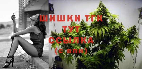 молекула духа Вязьма